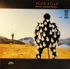 Pink Floyd. Delicate sound of thunder № 1,2