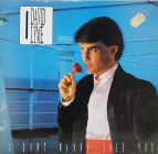 David Lyme - I don’t wanna lose you